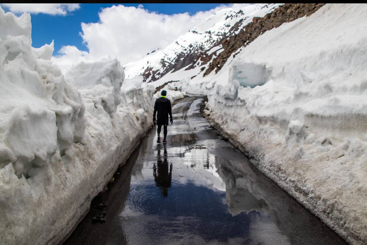 Snow Trails: Shimla to Manali from Chandigarh