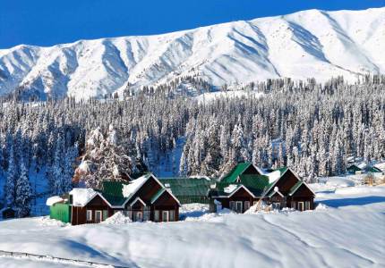 Kashmir Grand Tour: Srinagar, Gulmarg & Pahalgam from Amritsar