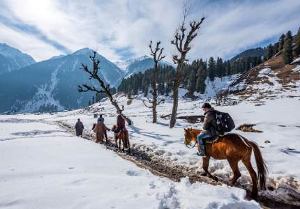 Taxi from Kashmir