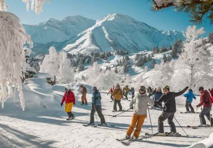 Taxi from Manali