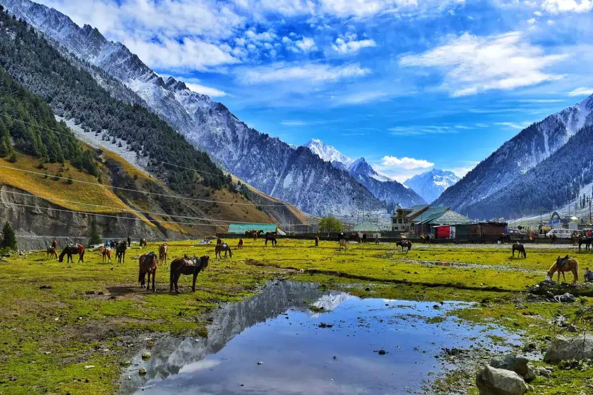 Spiritual & Scenic: Amritsar to Vaishno Devi & Kashmir Tour