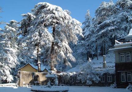 Taxi from Shimla